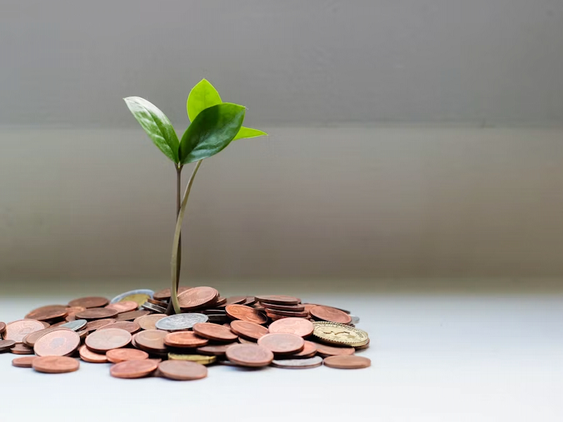 Savings for next home project
